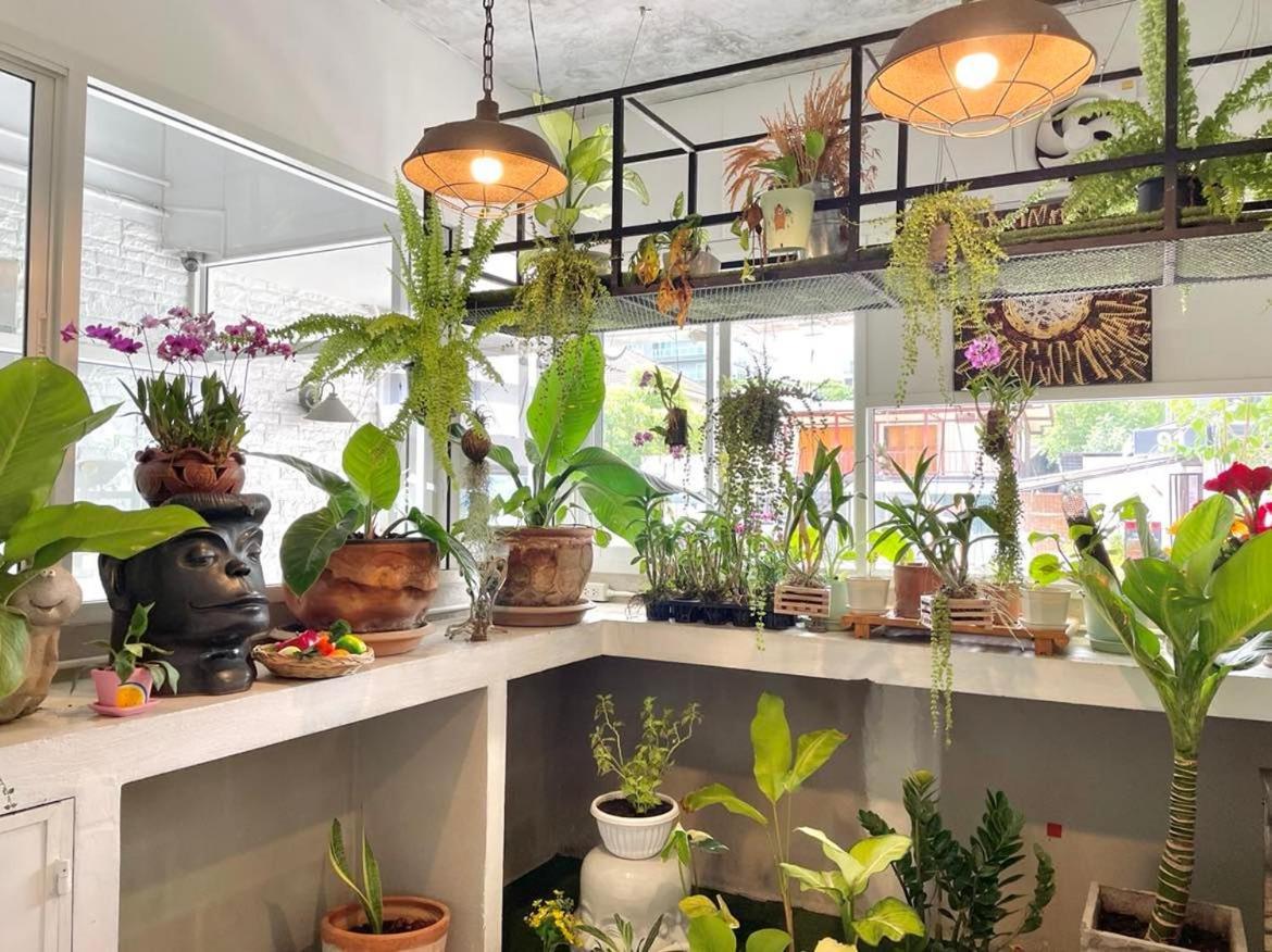 Cafe Home Chiang Mai Luaran gambar